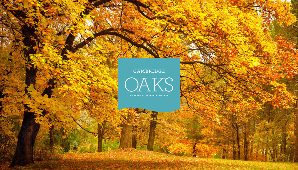 img-cambridge-oaks